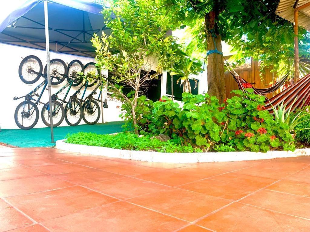 Hostal White House Galapagos Puerto Ayora  Exteriér fotografie