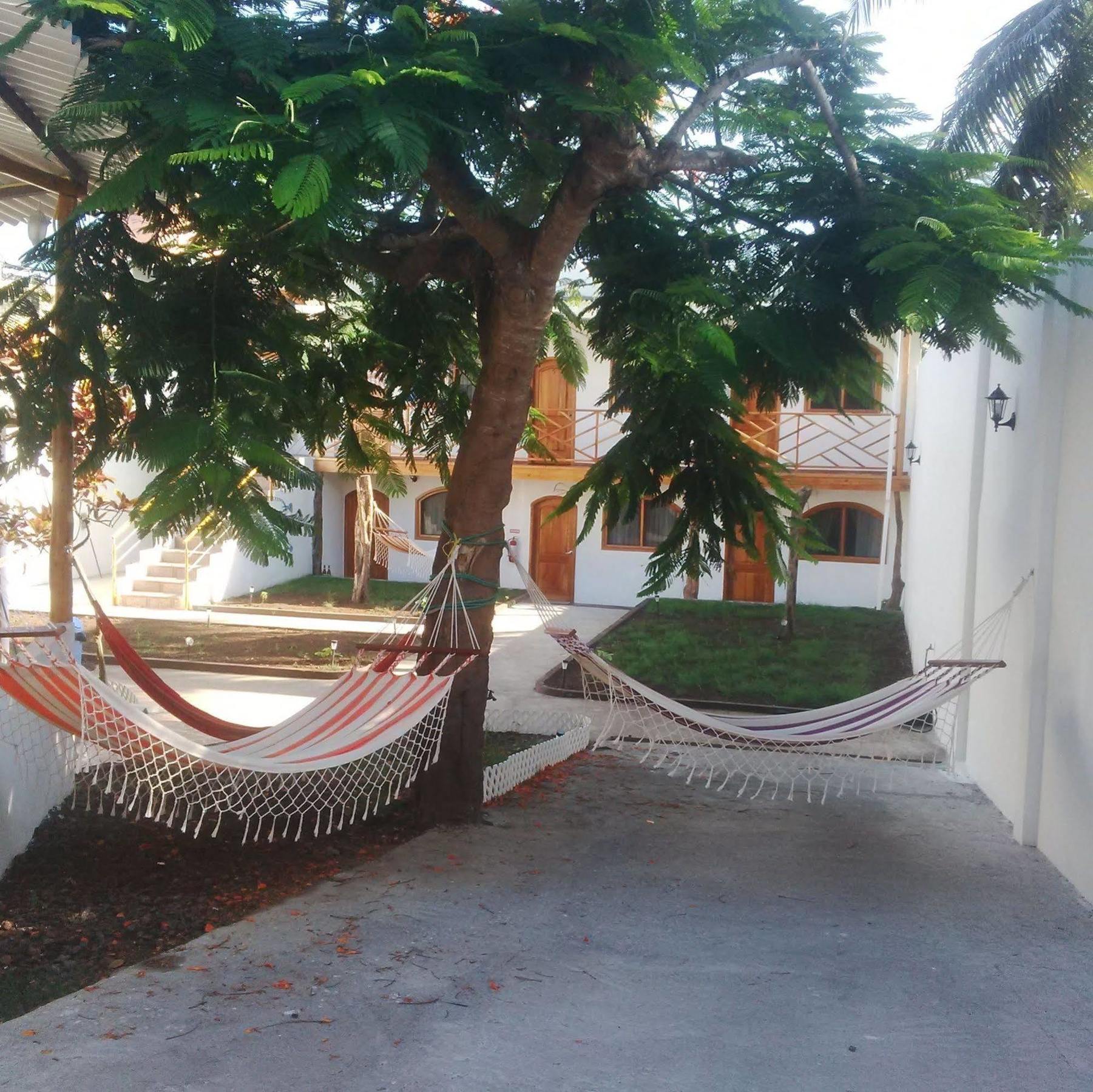 Hostal White House Galapagos Puerto Ayora  Exteriér fotografie