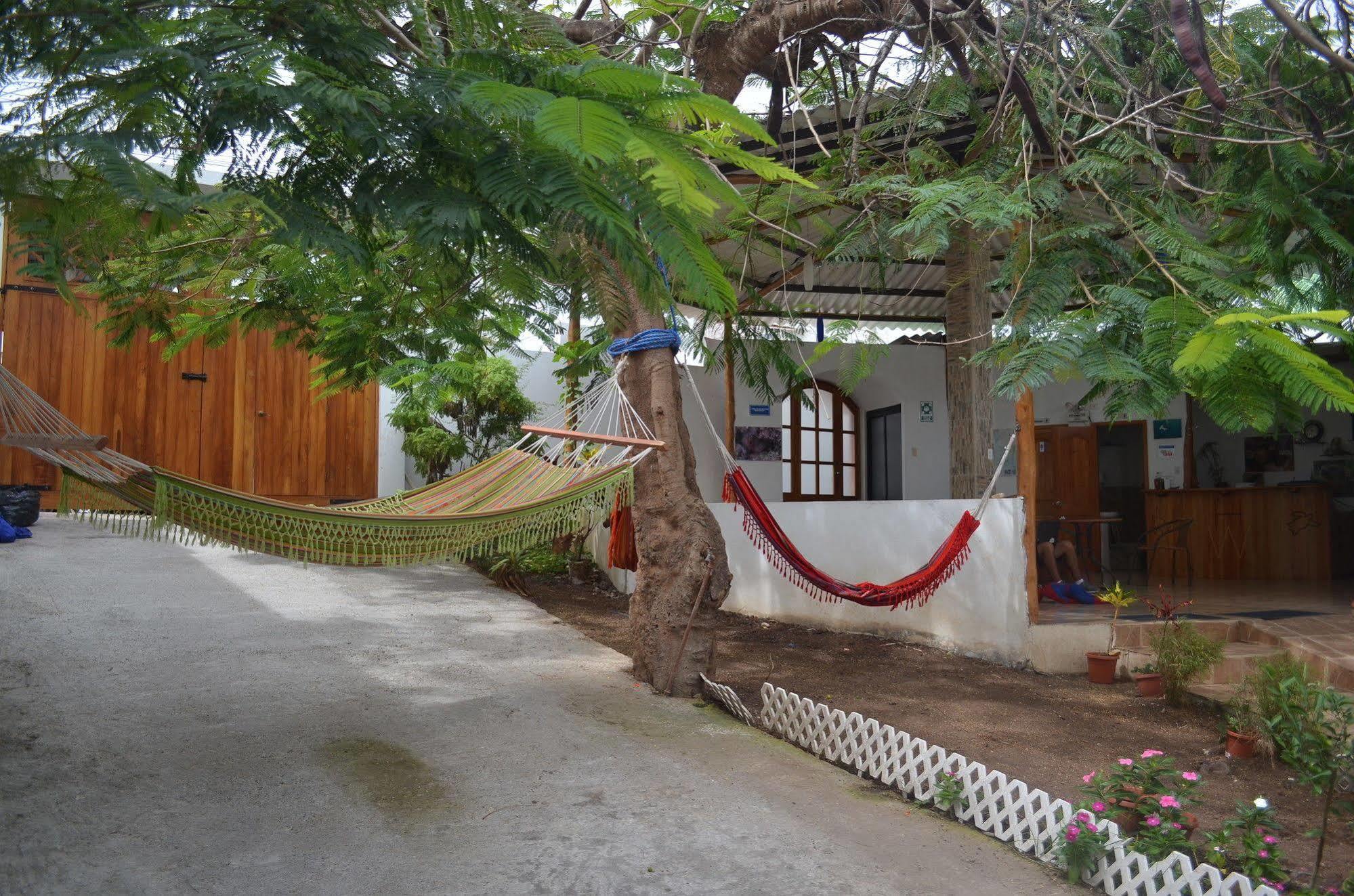Hostal White House Galapagos Puerto Ayora  Exteriér fotografie